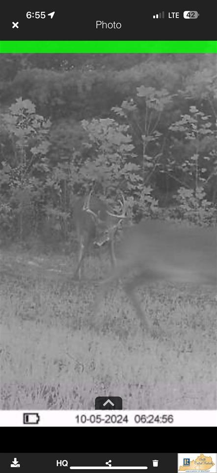 0 Cedar Flat Curtis Road Edmonton, KY 42129 - Photo 63 of 77 Gallery Image 63