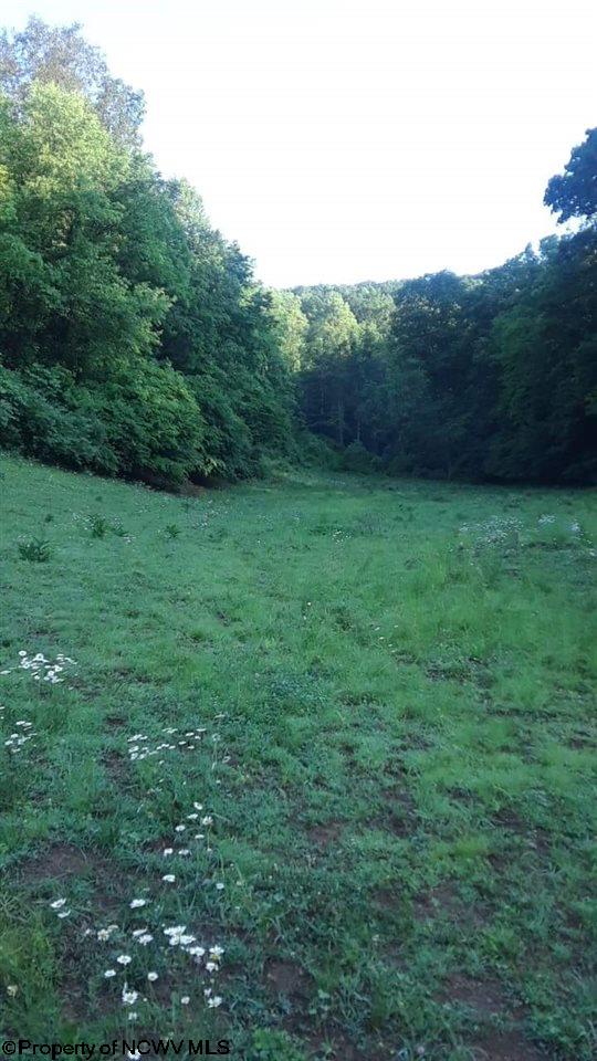 301 Hunters Cove Road Walkersville, WV 26447 - Photo 2 of 5 Gallery Image 2