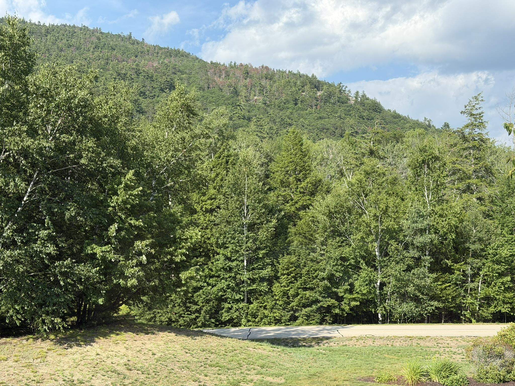 95 Eagle Ridge Intervale, NH 03845 - Photo 33 of 42 Gallery Image 33