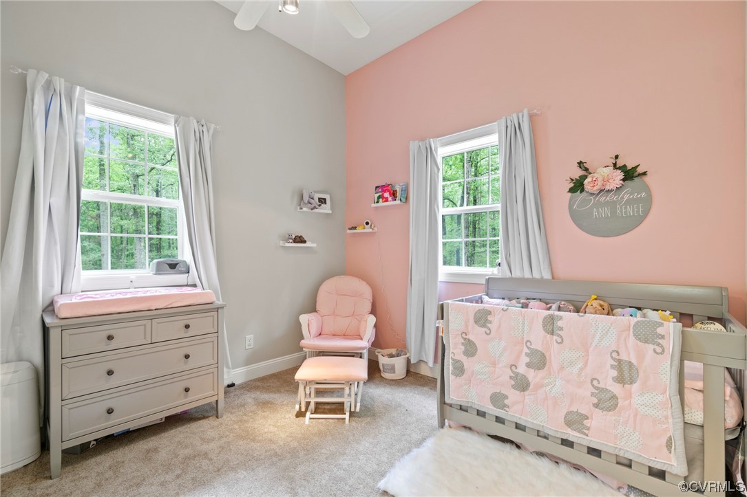 4777 Bell Road Powhatan, VA 23139 - Photo 30 of 46 Gallery Image 30