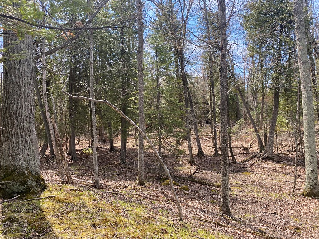 Tbd Boyers Bluff Road Washington Island, WI 54246 - Photo 5 of 10
