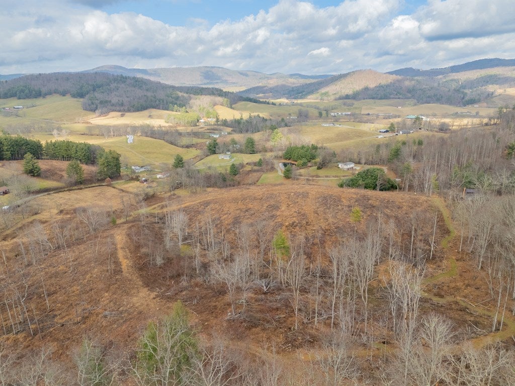 451 Summerfield Road Independence, VA 24348 - Photo 88 of 100 Gallery Image 88