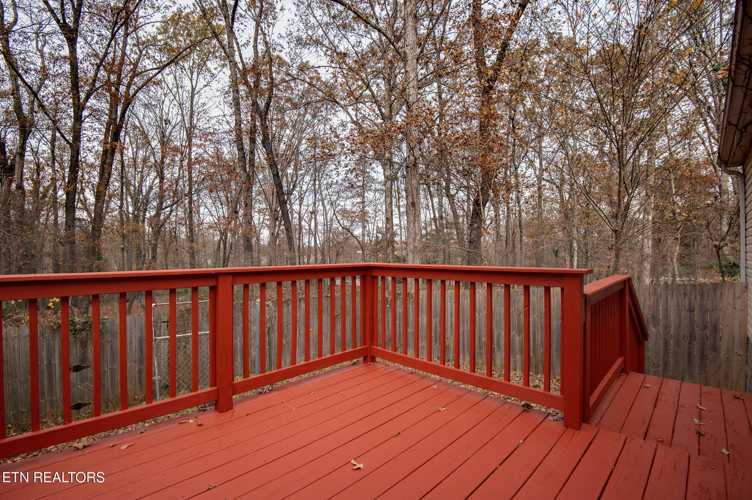 116 Eblen Lane Kingston, TN 37763 - Photo 17 of 22 Wooded View