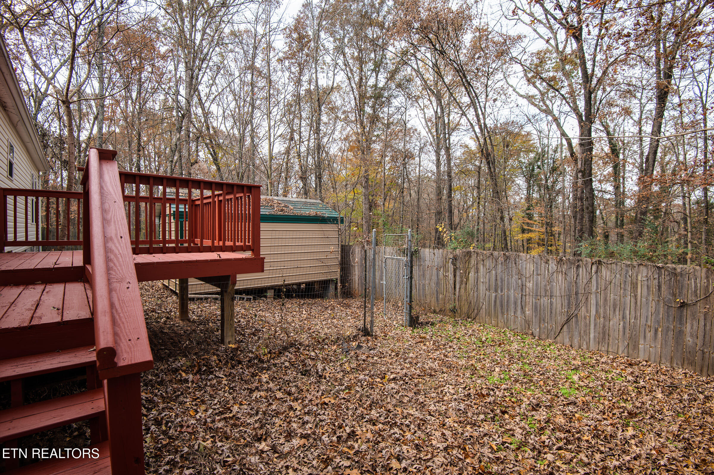 116 Eblen Lane Kingston, TN 37763 - Photo 18 of 22 Shed Conveys