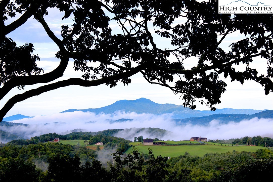 a view of a mountain in the distance