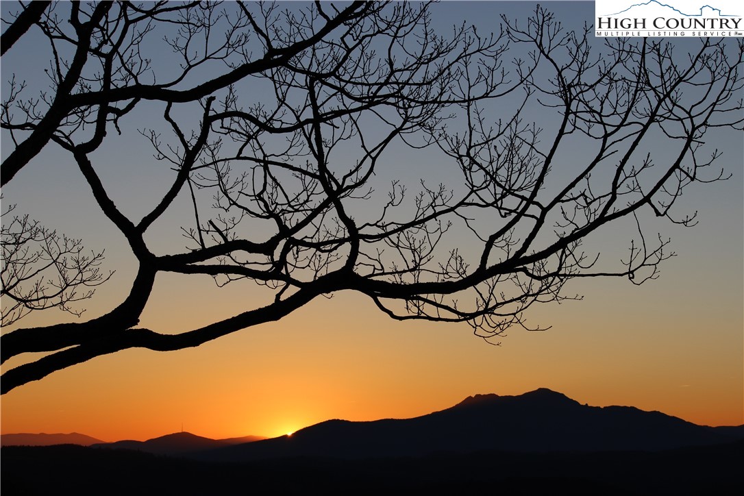 198 Laurel Hill Lane Boone, NC 28607 - Photo 7 of 50 a view of tree in front of a building