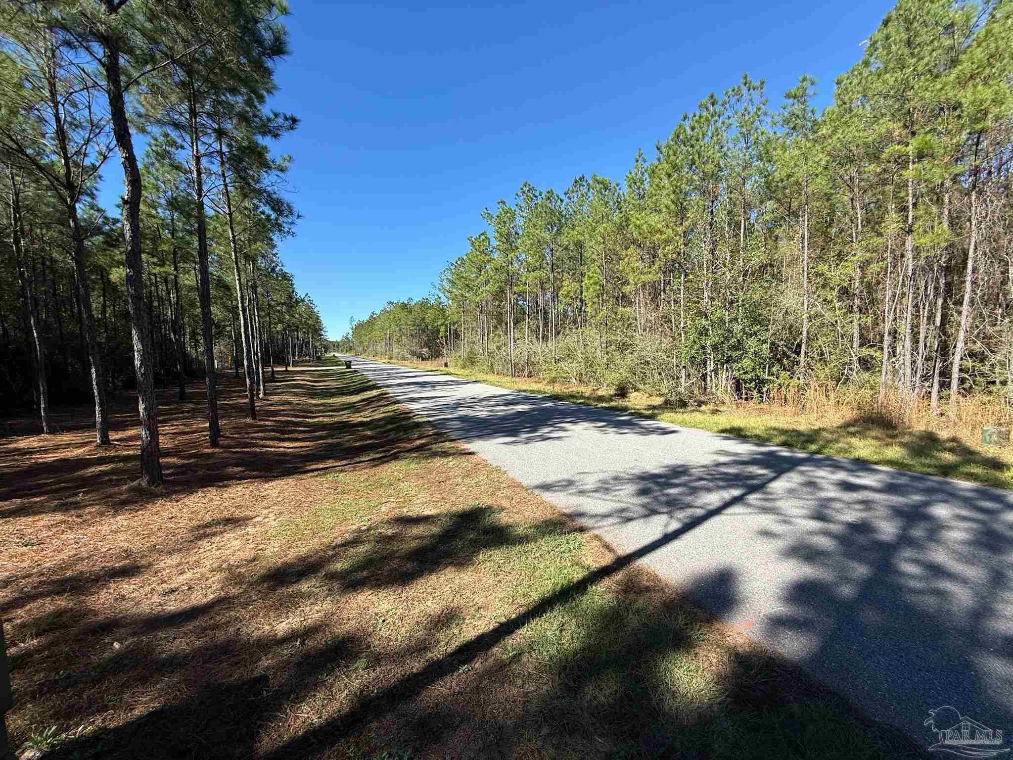 0 Steele Meadow Drive Pace, FL 32571 - Photo 2 of 5