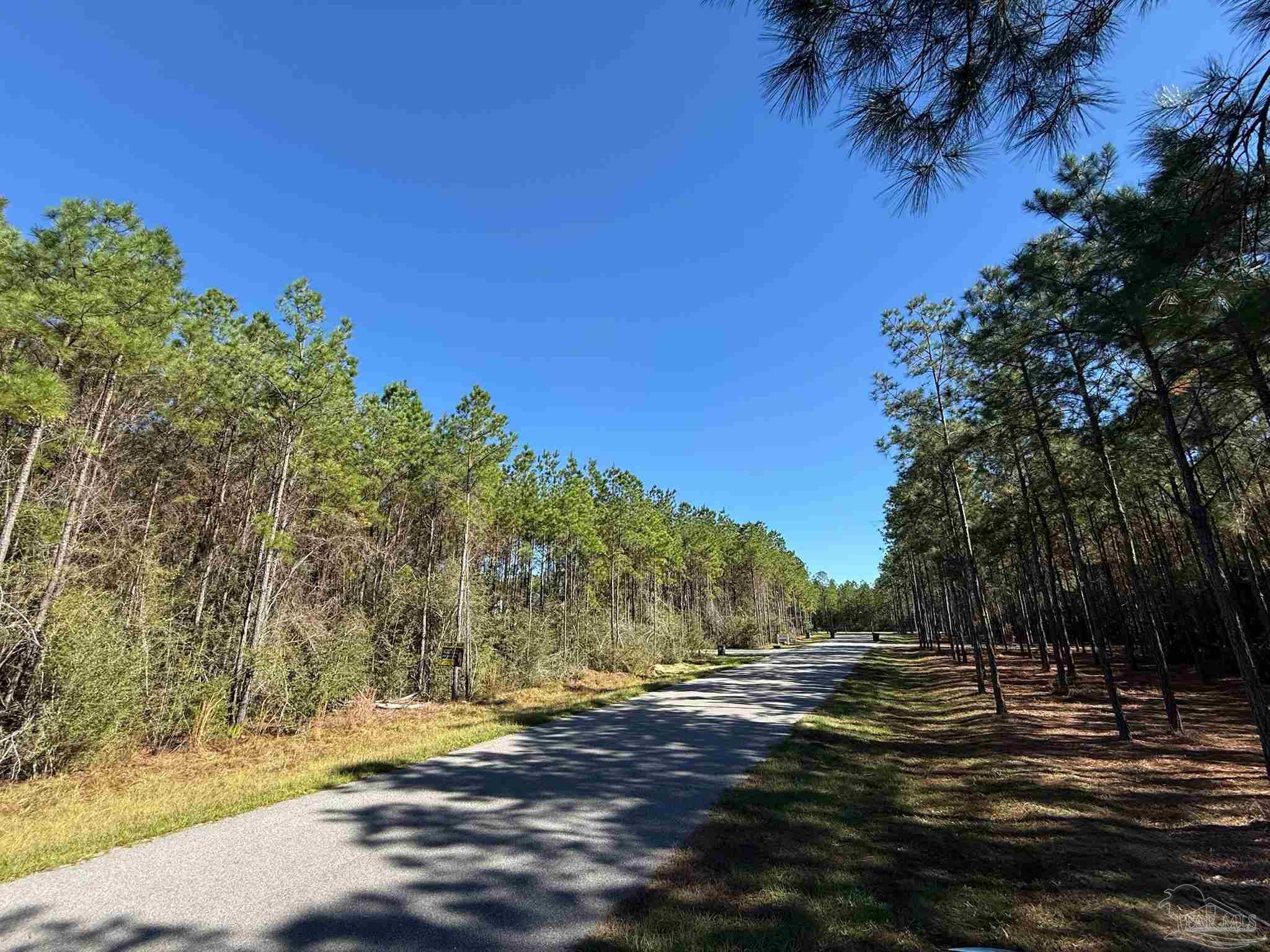 0 Steele Meadow Drive Pace, FL 32571 - Photo 3 of 5