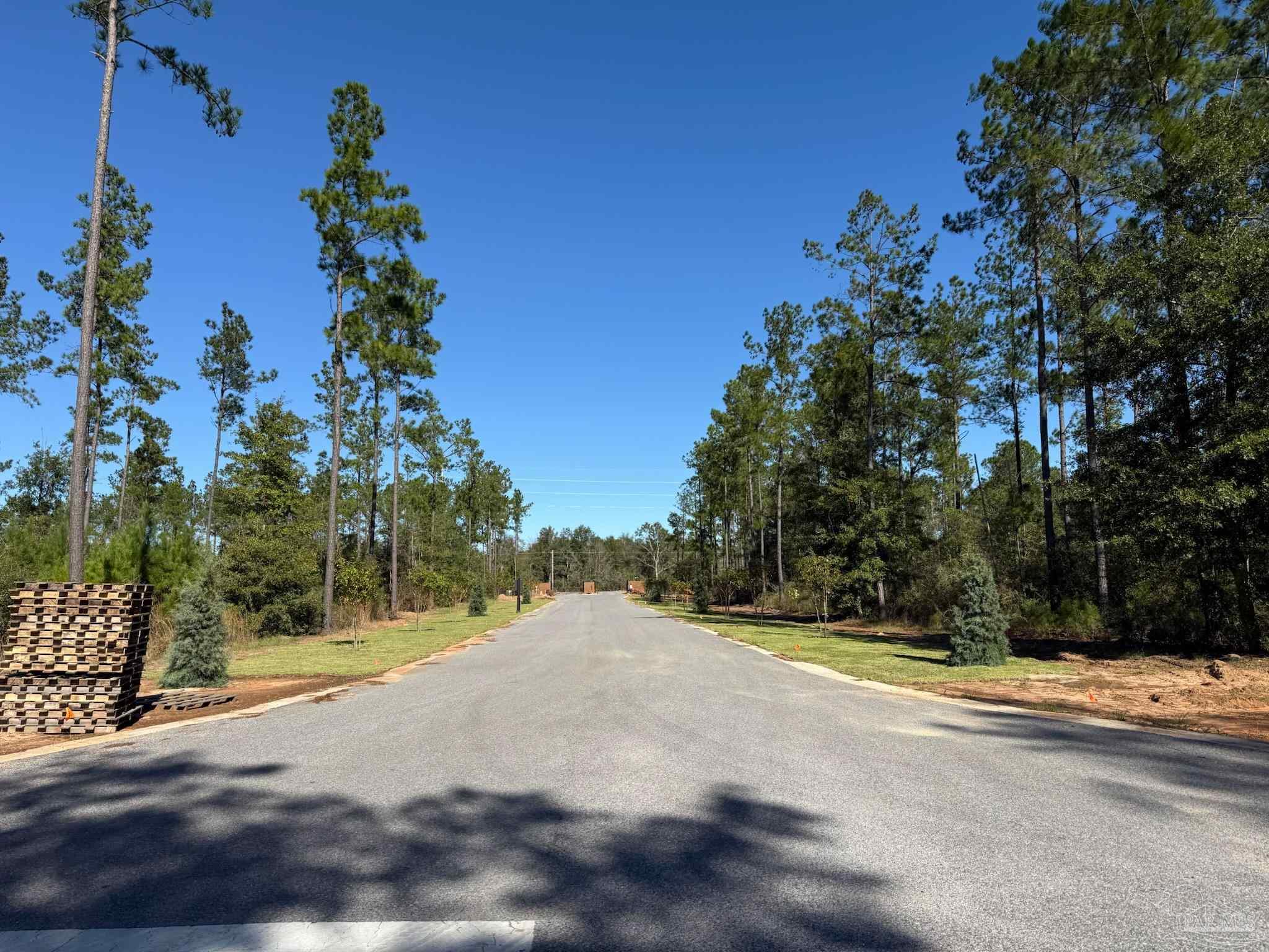 0 Steele Meadow Drive Pace, FL 32571 - Photo 5 of 5