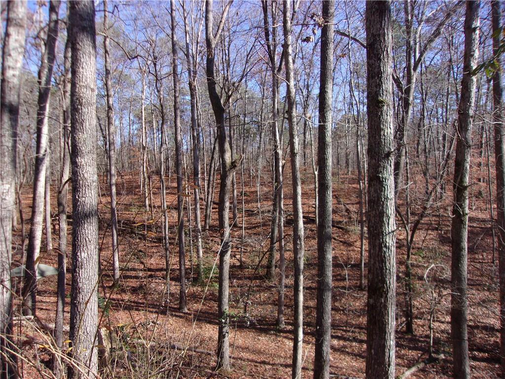 834 Pleasant Arbor Road Waleska, GA 30183 - Photo 1 of 1 Gallery Image 1