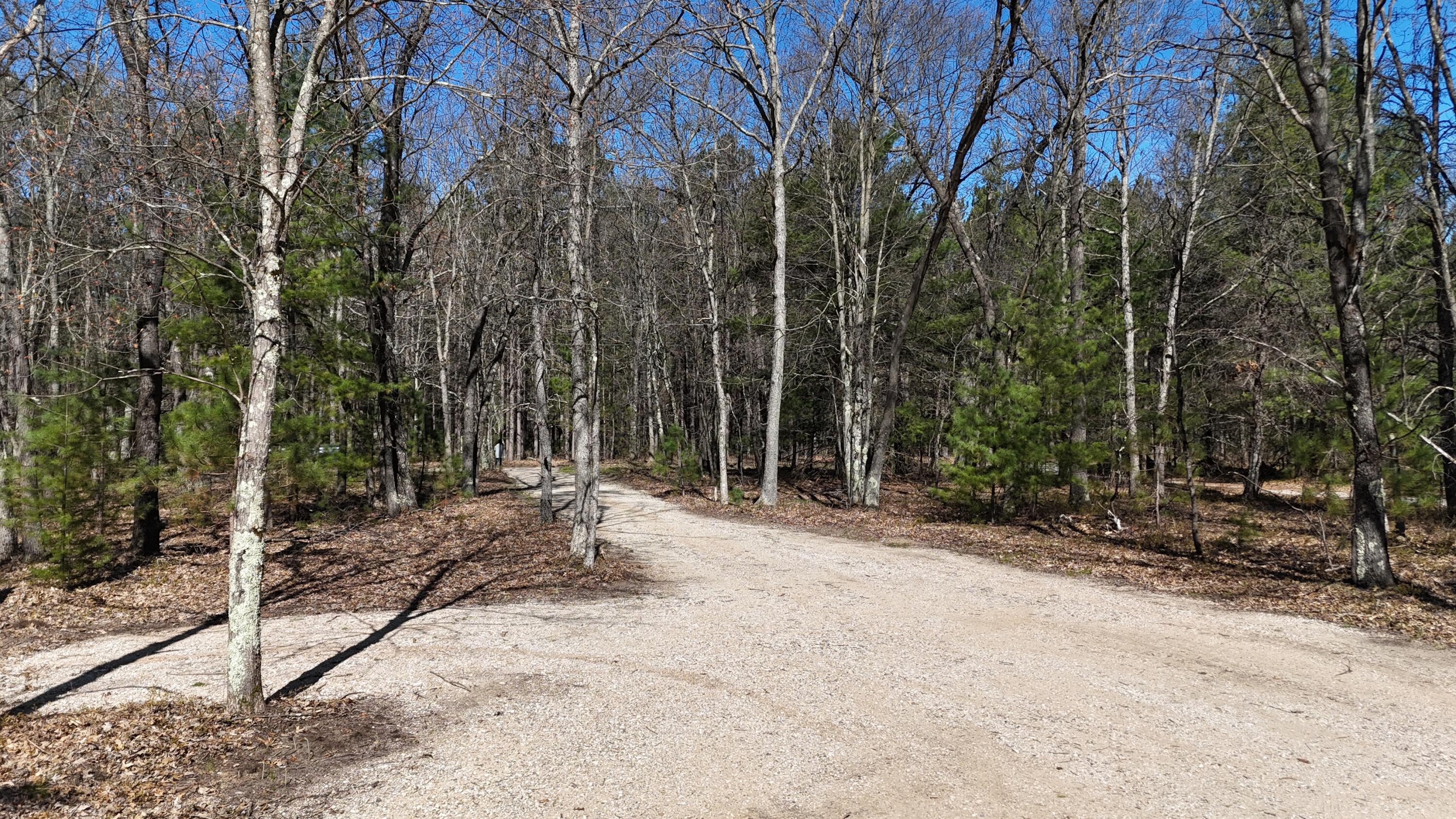 2073 Gunn Road Wellston, MI 49689 - Photo 28 of 39 1000008386