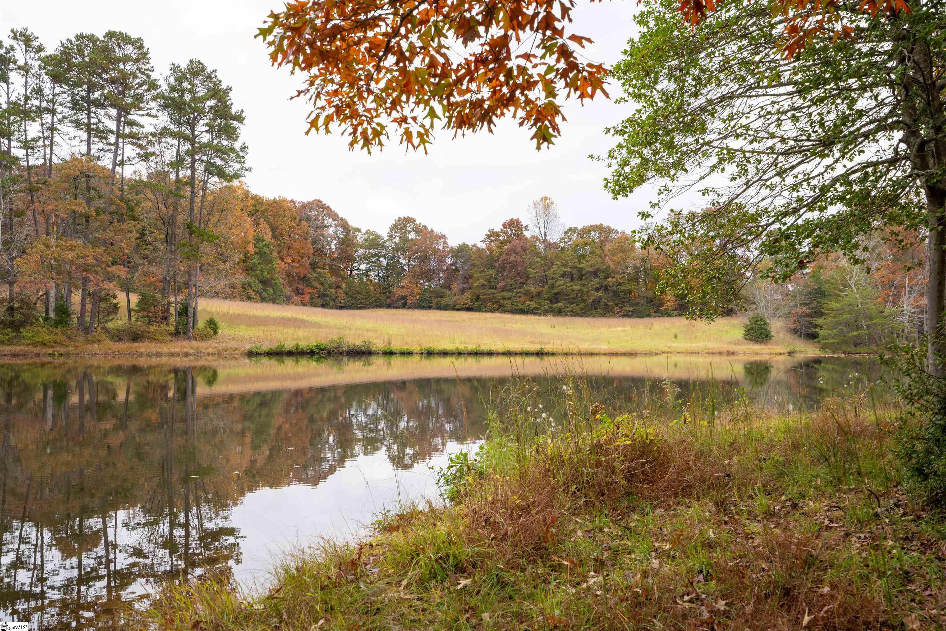 1010 McElhaney Road Travelers Rest, SC 29690 - Photo 13 of 32 Gallery Image 13