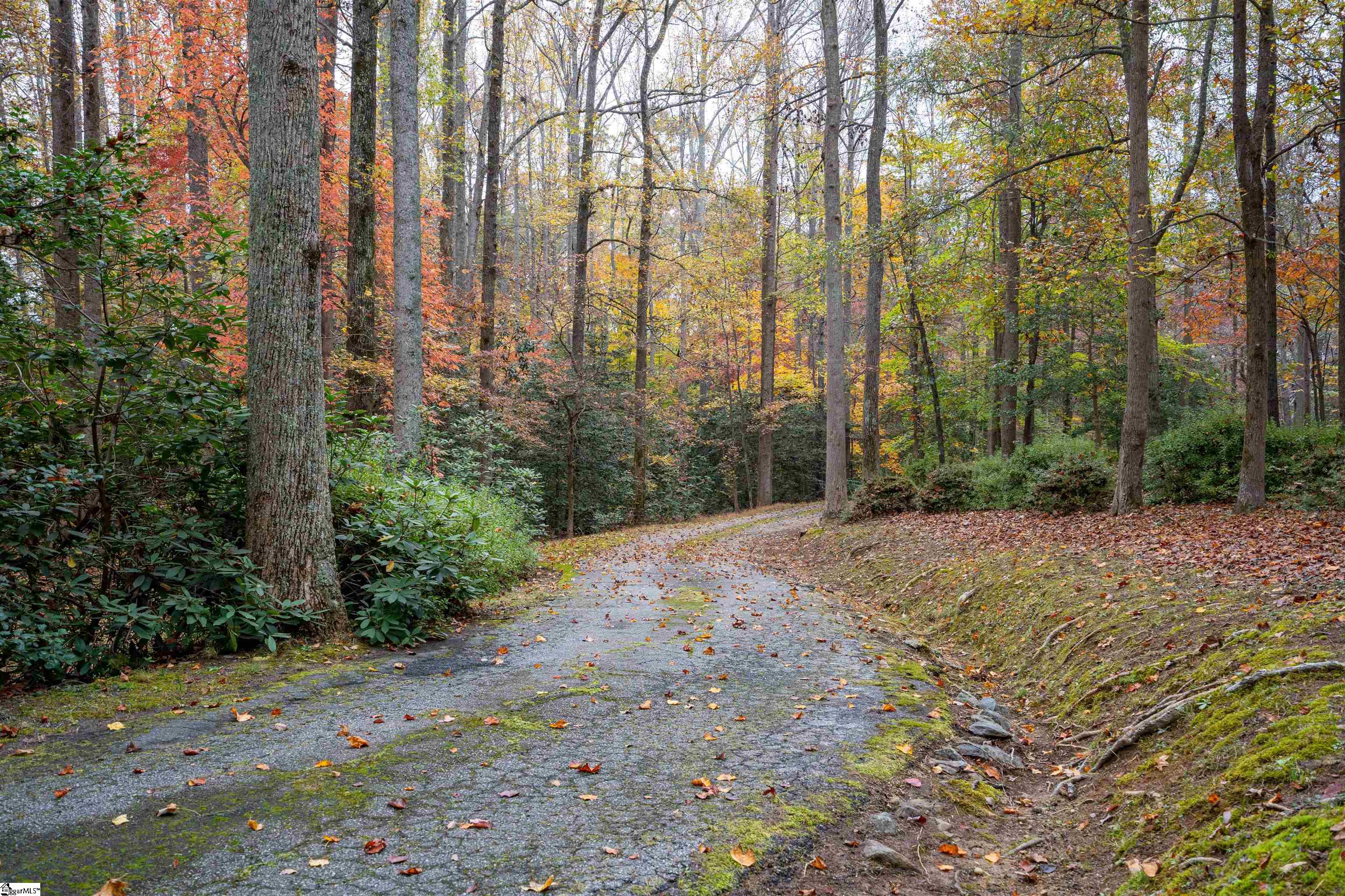 1010 McElhaney Road Travelers Rest, SC 29690 - Photo 31 of 32 Gallery Image 31