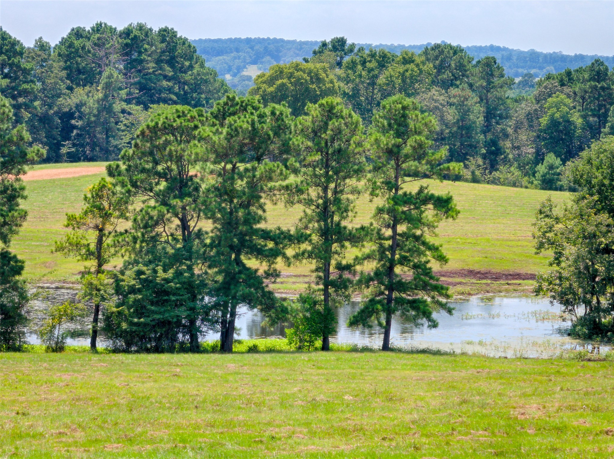 2 Highland Drive Huntsville, TX 77320 - Photo 3 of 50 a view of swimming pool with a yard