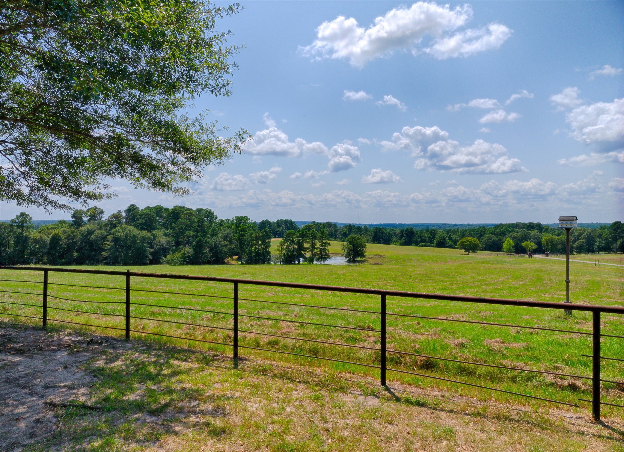 2 Highland Drive Huntsville, TX 77320 - Photo 39 of 50 a view of an outdoor space and yard