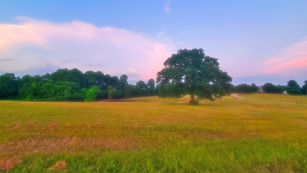 2 Highland Drive Huntsville, TX 77320 - Photo 8 of 50 a view of an ocean and a city