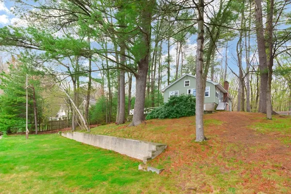 a view of a park with large trees