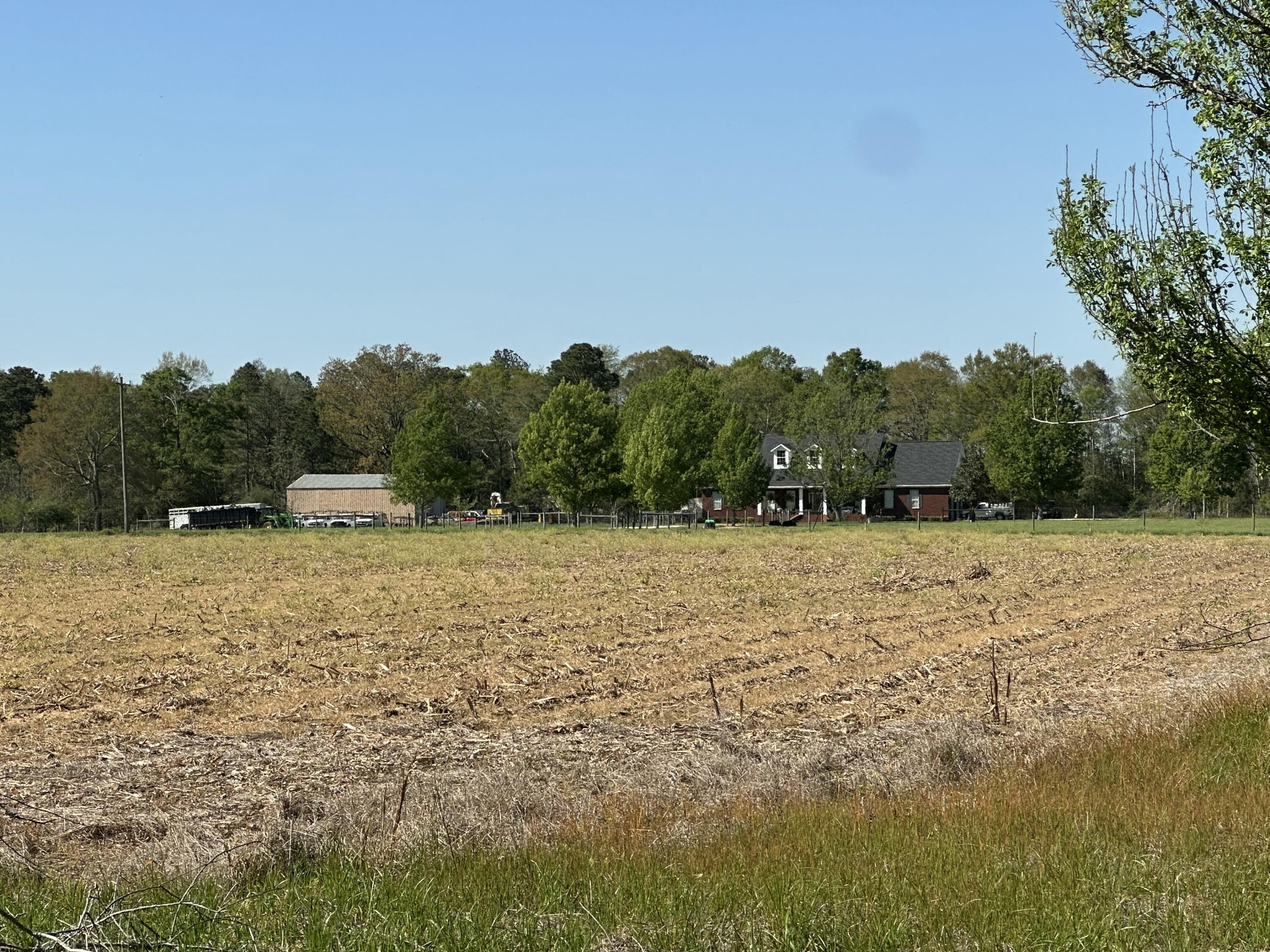 150 Jack Daniels Road Monroeville, AL 36460 - Photo 13 of 14 IMG_8420