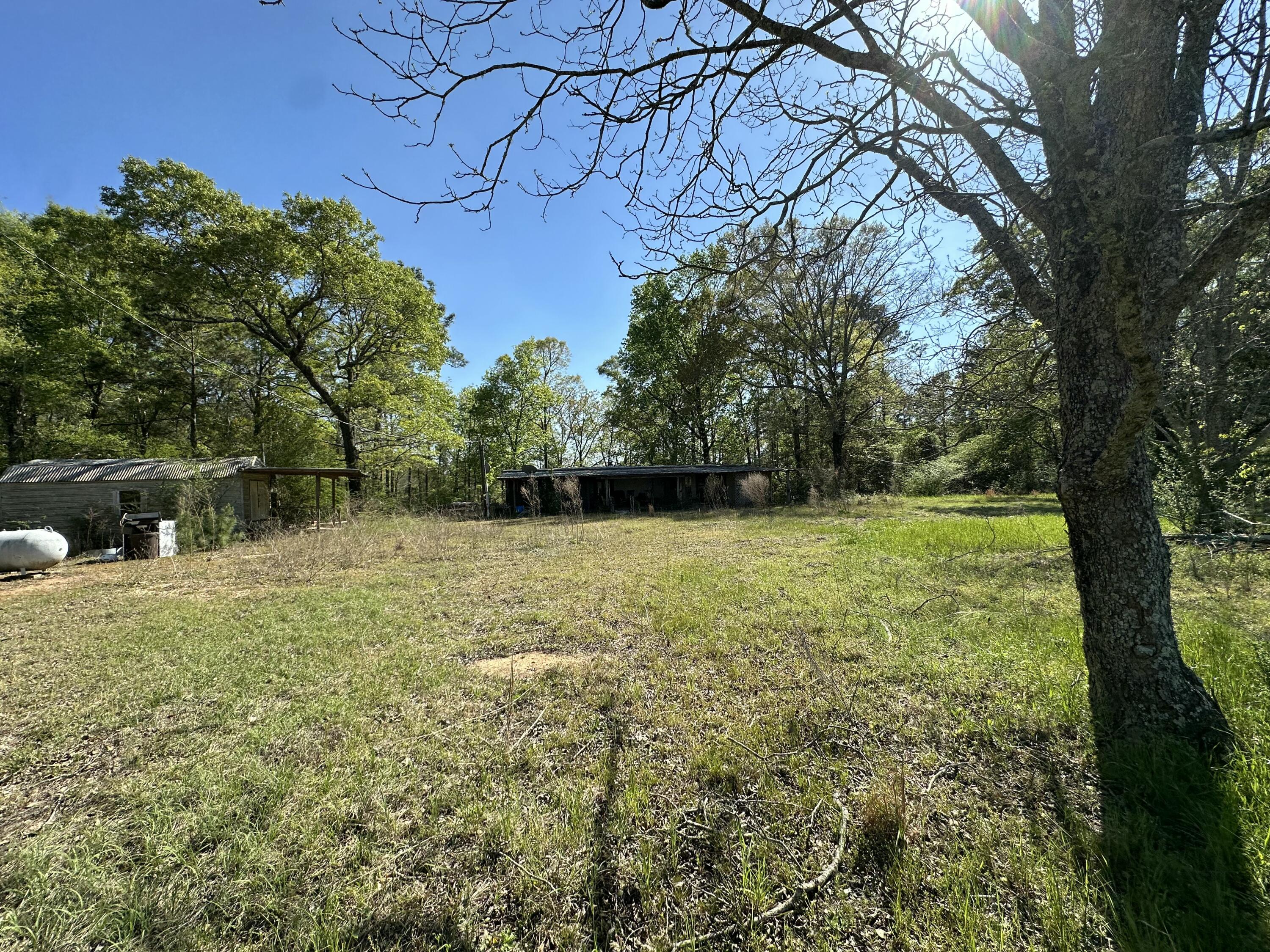 150 Jack Daniels Road Monroeville, AL 36460 - Photo 4 of 14 IMG_8409