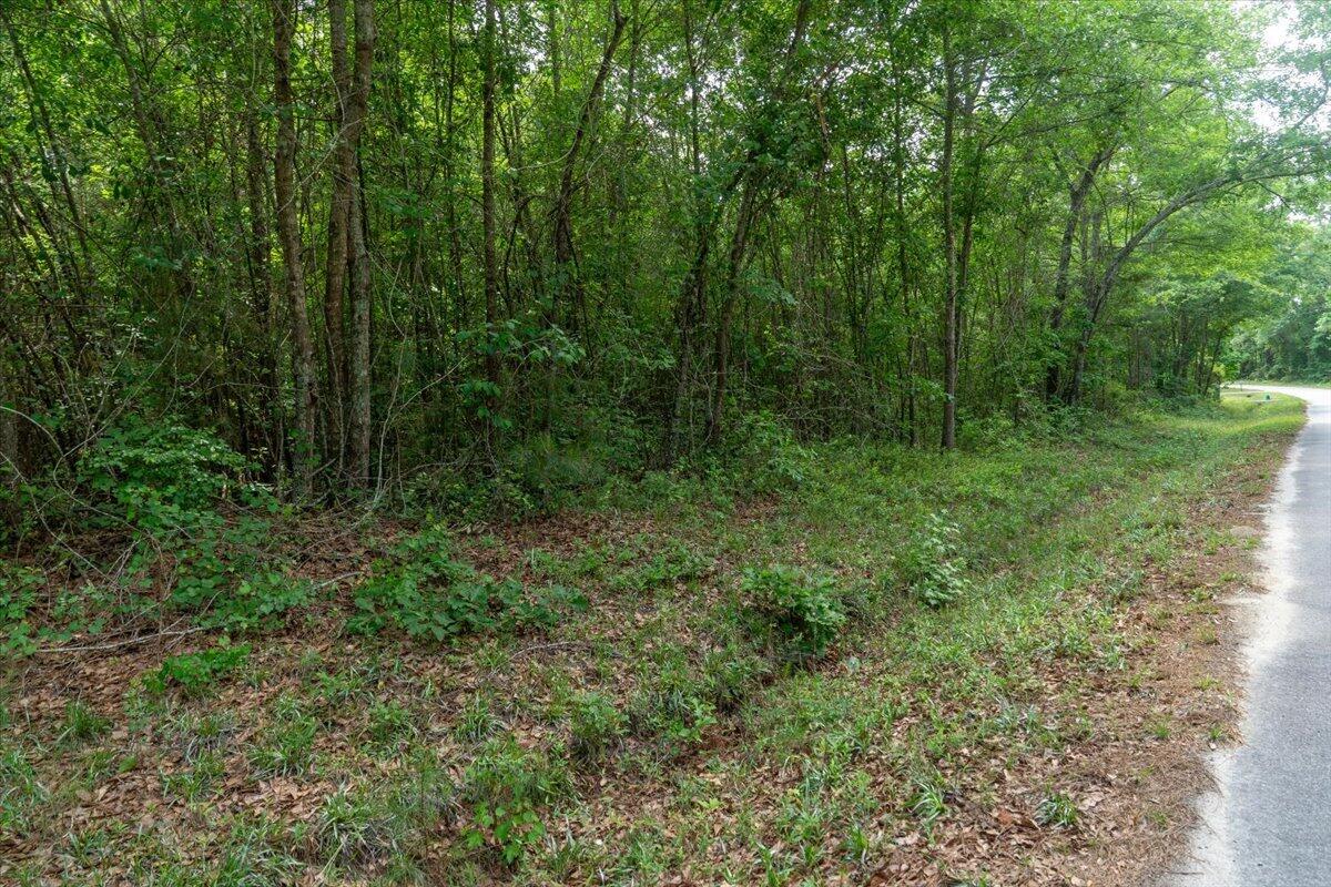 0 Deneaux Road Rowesville, SC 29133 - Photo 12 of 43 11-Deneaux-11