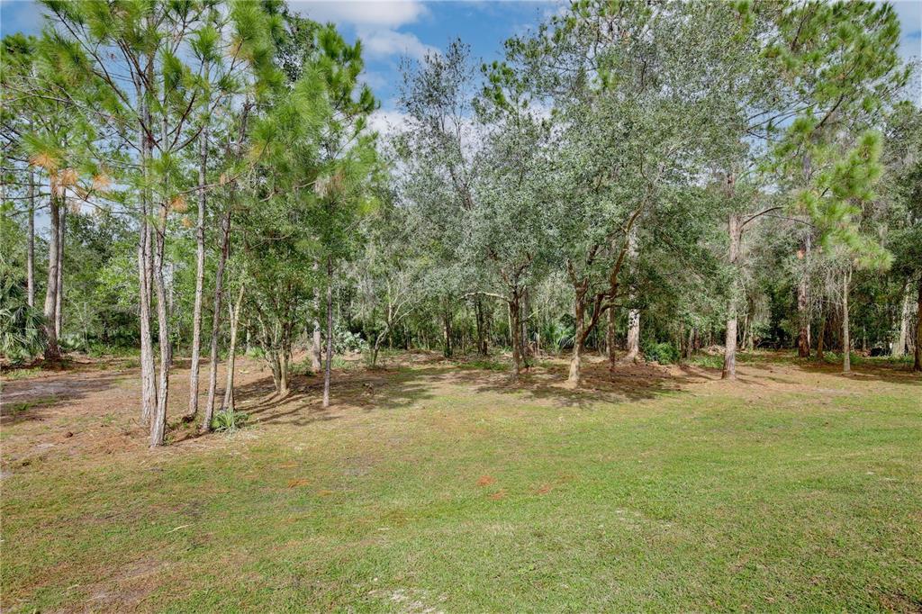 1255 Flint Trail Geneva, FL 32732 - Photo 24 of 39