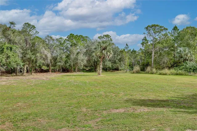 a view of a green field