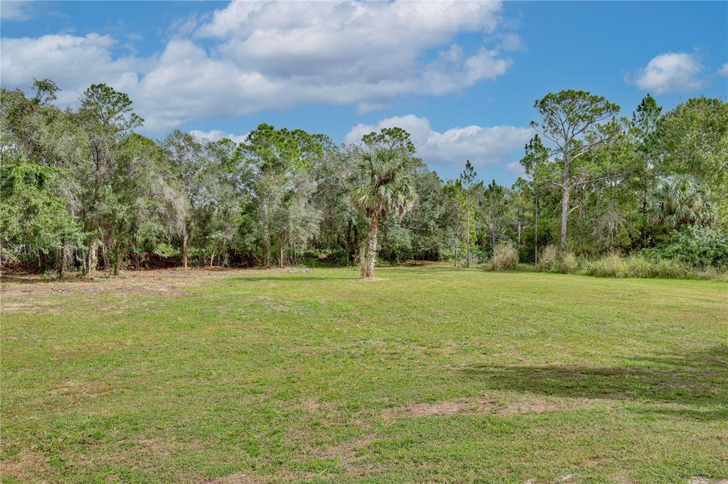 1255 Flint Trail Geneva, FL 32732 - Photo 29 of 39