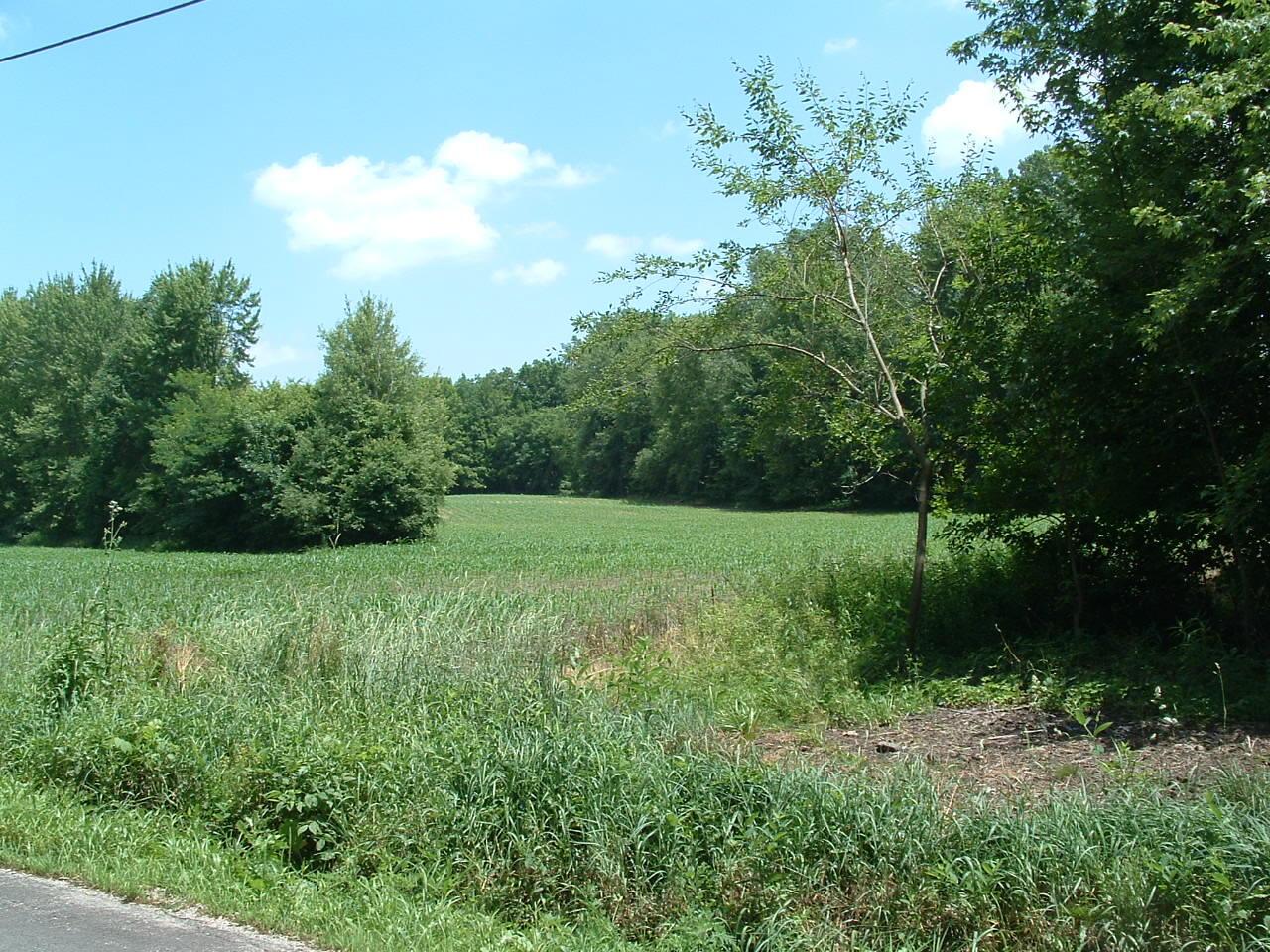 0 Clover Valley Road Northwest Johnstown, OH 43031 - Photo 14 of 16 DSCF0014
