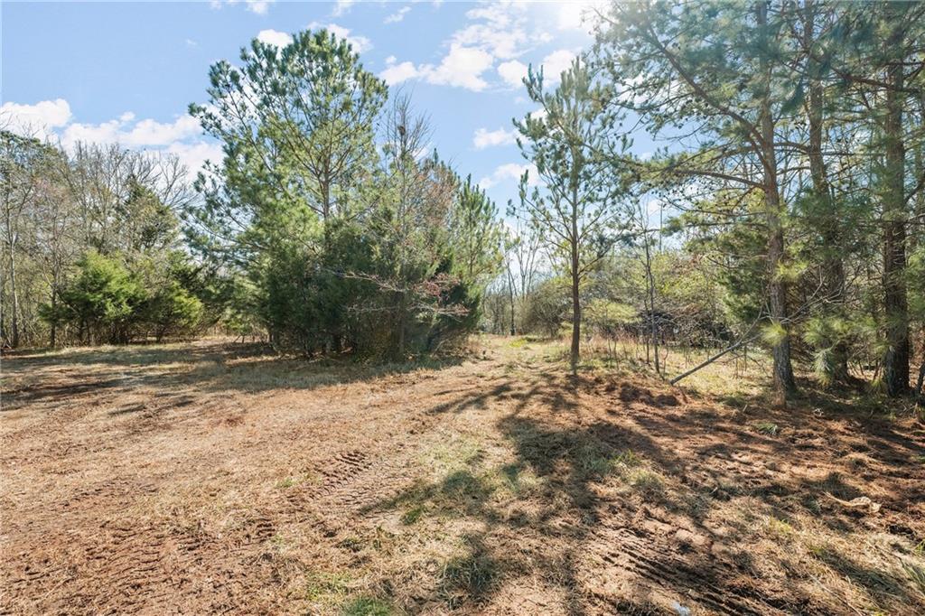 4 West 4w Farm Road Jefferson, GA 30549 - Photo 4 of 16 a view of a yard with trees