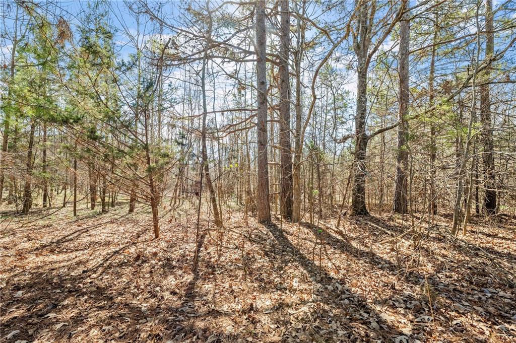 4 West 4w Farm Road Jefferson, GA 30549 - Photo 5 of 16 a view of covered with green space