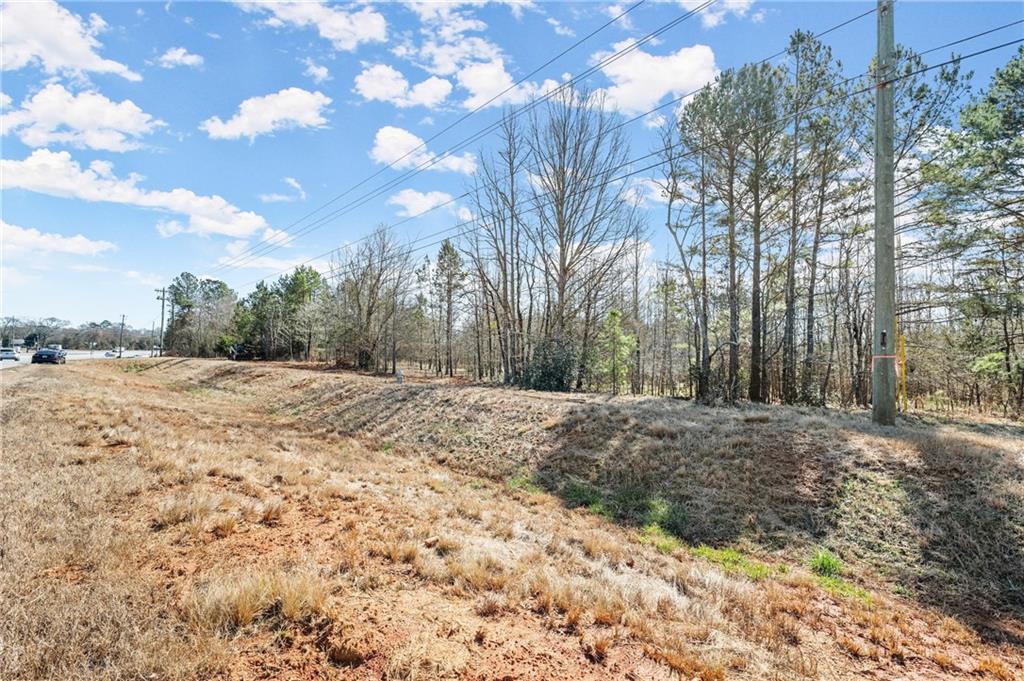 4 West 4w Farm Road Jefferson, GA 30549 - Photo 6 of 16 a view of a yard with plants and trees