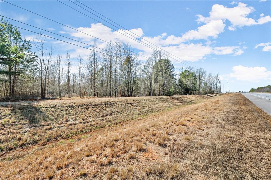 4 West 4w Farm Road Jefferson, GA 30549 - Photo 8 of 16 a view of dirt yard with a large tree
