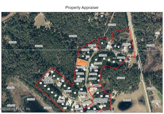 a view of a yard with trees