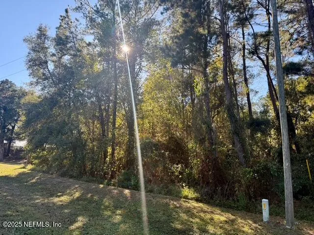 a view of a yard with large trees