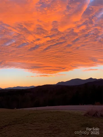 a view of a lush green hillside and a houses