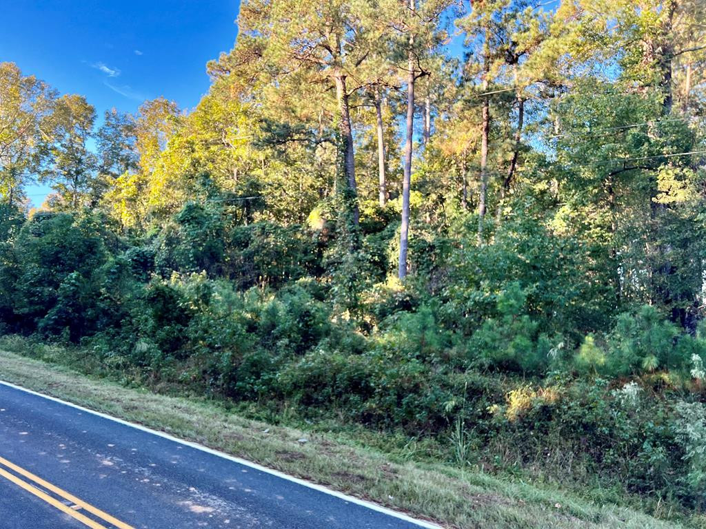 0 Sikes Road St. Matthews, SC 29135 - Photo 1 of 1
