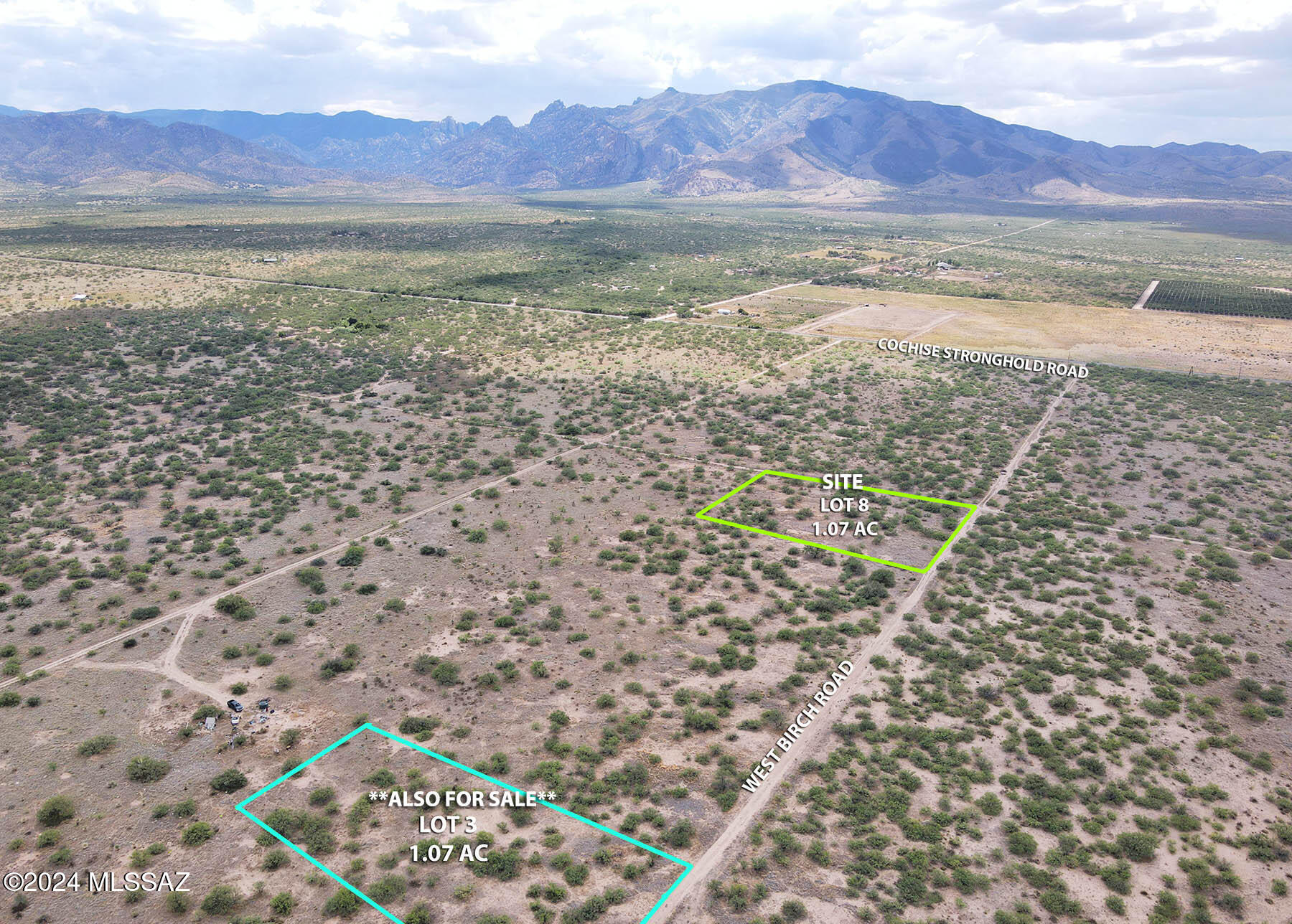 1-lot West Birch Road, Unit 8 Cochise, AZ 85606 - Photo 4 of 11