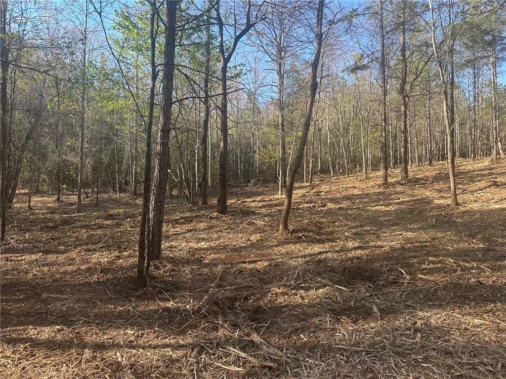 0 Lee Mashburn Road Dahlonega, GA 30533 - Photo 6 of 19