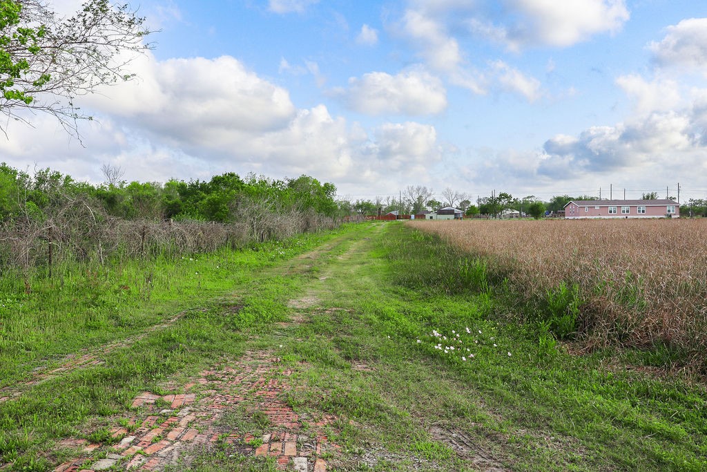 1115 Farm To Market 1462 Rosharon, TX 77583 - Photo 2 of 20