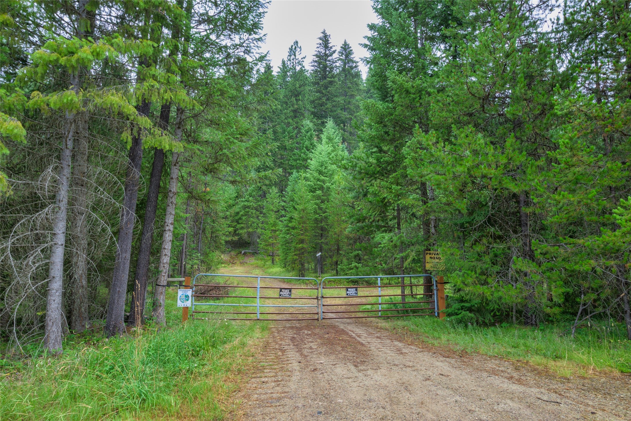 435 Cabin City Loop Road St. Regis, MT 59866 - Photo 40 of 45 Gallery Image 40