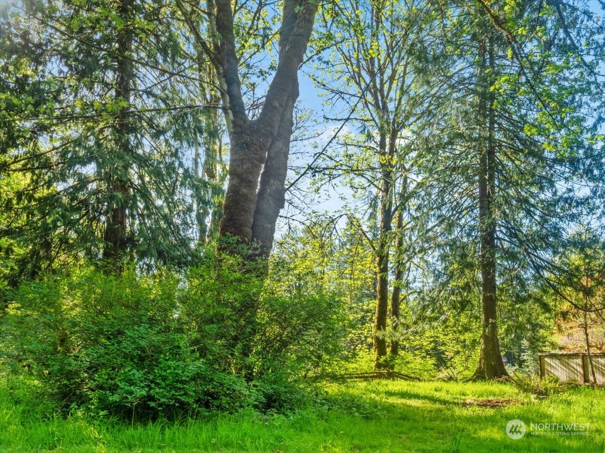 7821 Moon Valley Road Southeast North Bend, WA 98045 - Photo 11 of 40 Gallery Image 11