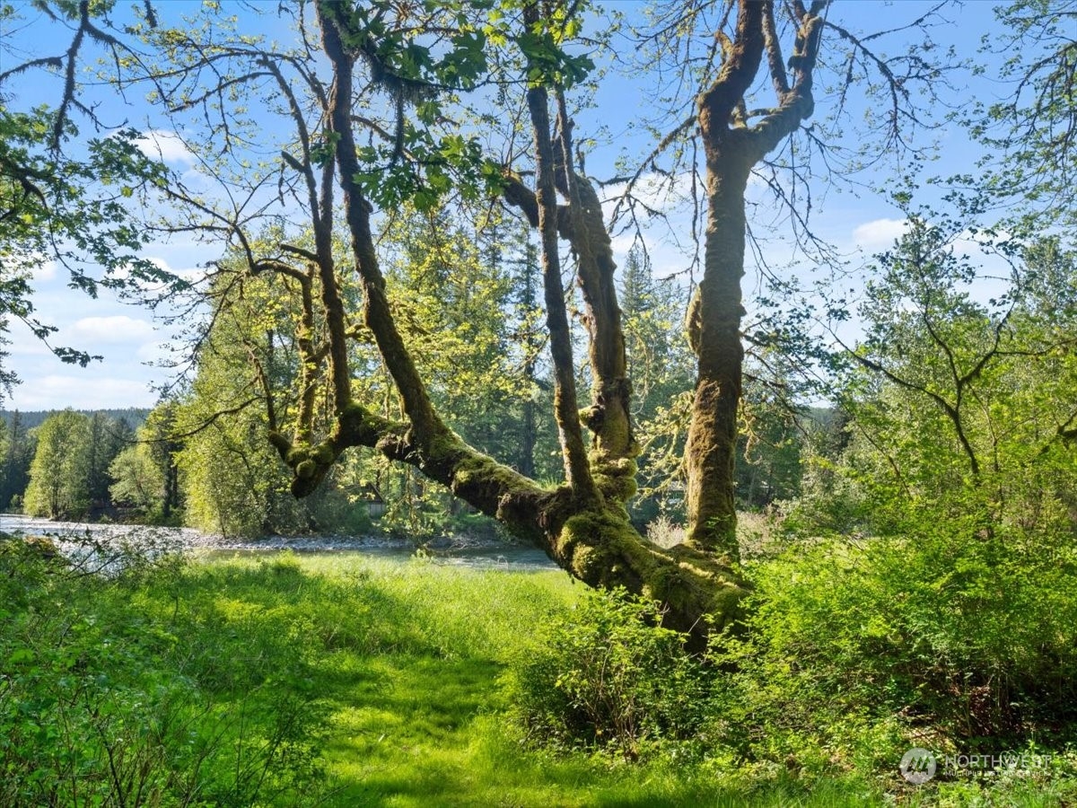 7821 Moon Valley Road Southeast North Bend, WA 98045 - Photo 19 of 40 Gallery Image 19