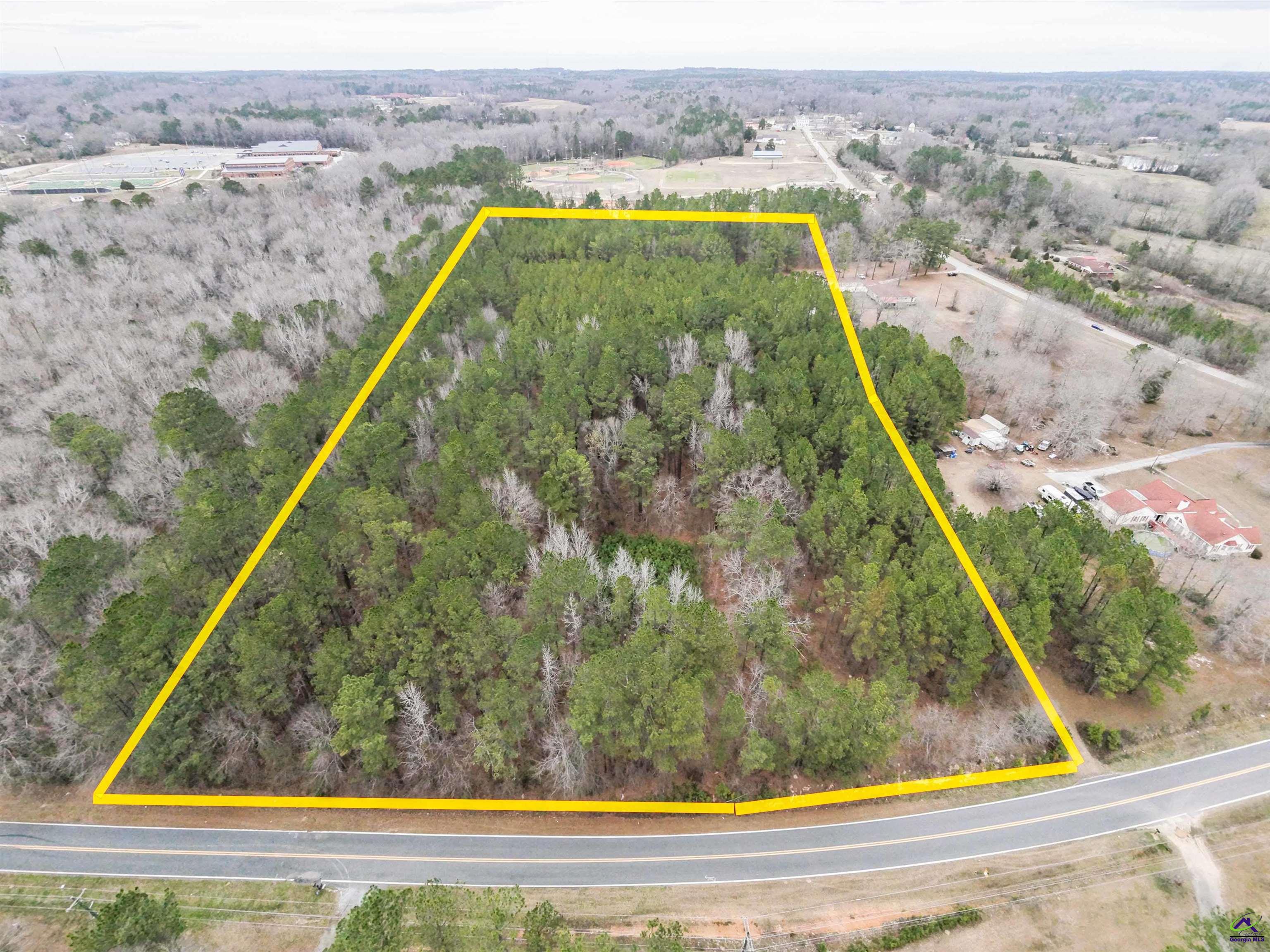 12.6-acres Hicks Road Roberta, GA 31078 - Photo 2 of 17