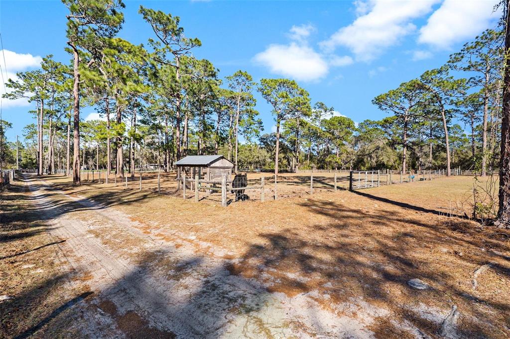 2495 County Road Oxford, FL 34484 - Photo 51 of 51