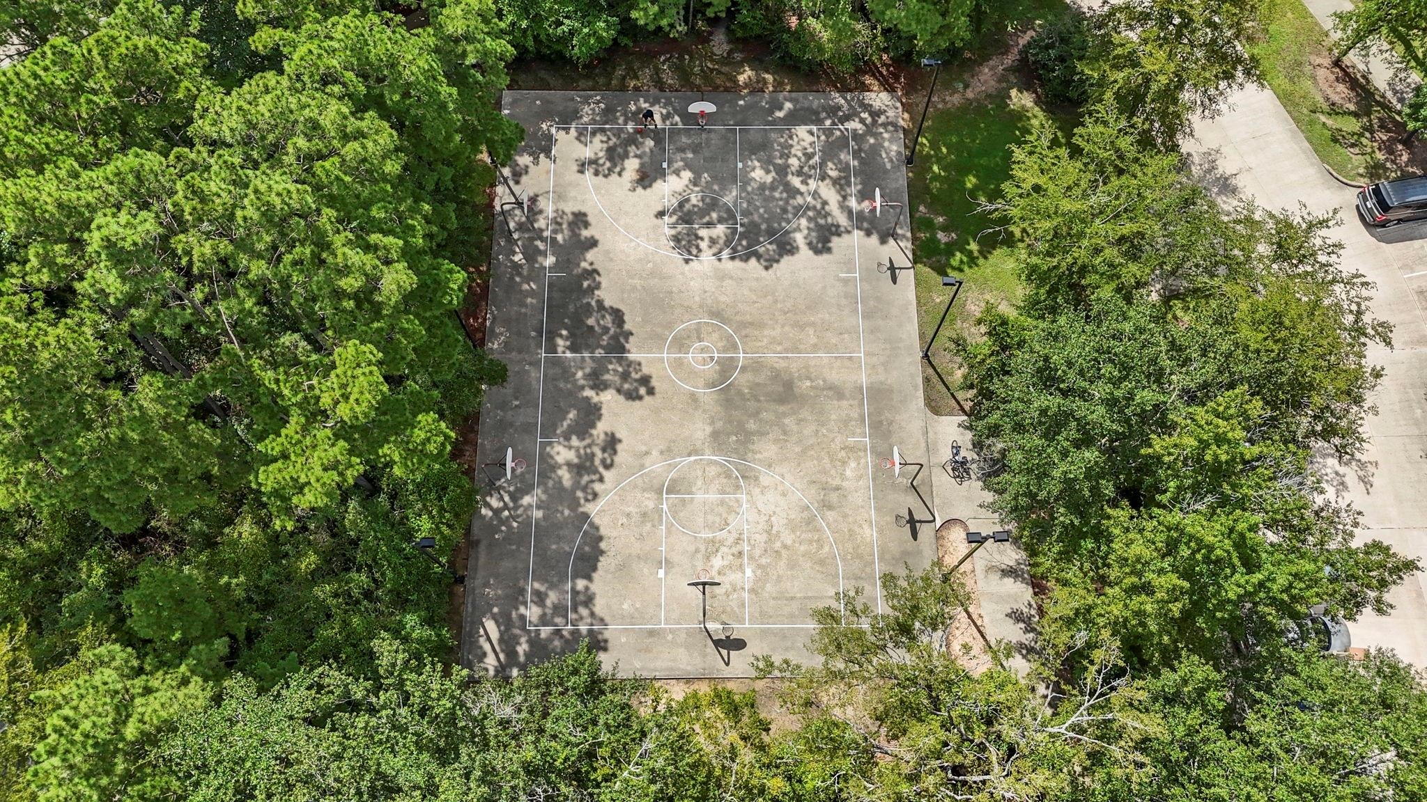 7 Verbena Bend Place Spring, TX 77382 - Photo 30 of 33 a picture of a tree