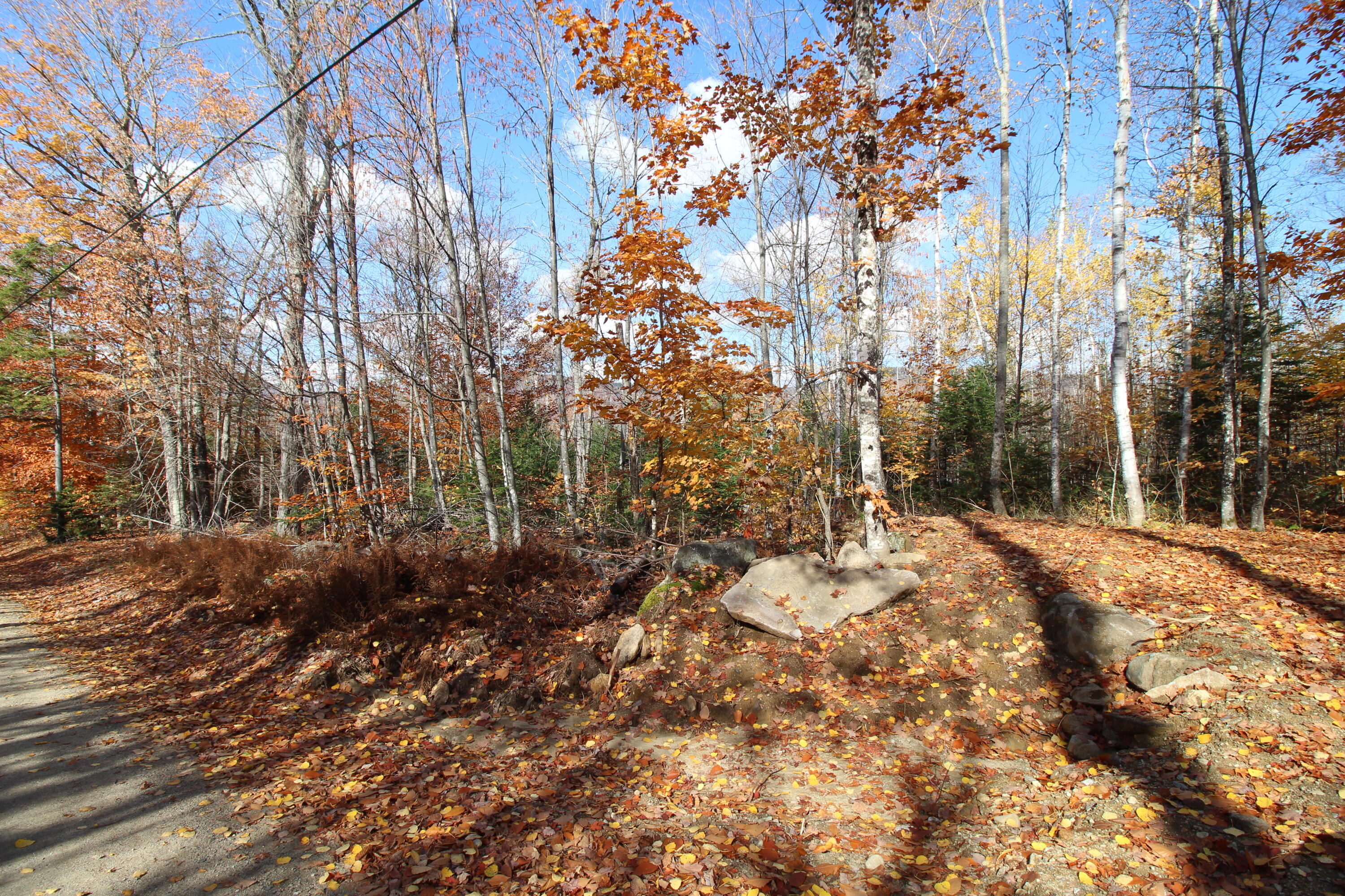 1 Center Hill Road Weld, ME 04285 - Photo 6 of 6 IMG_4477