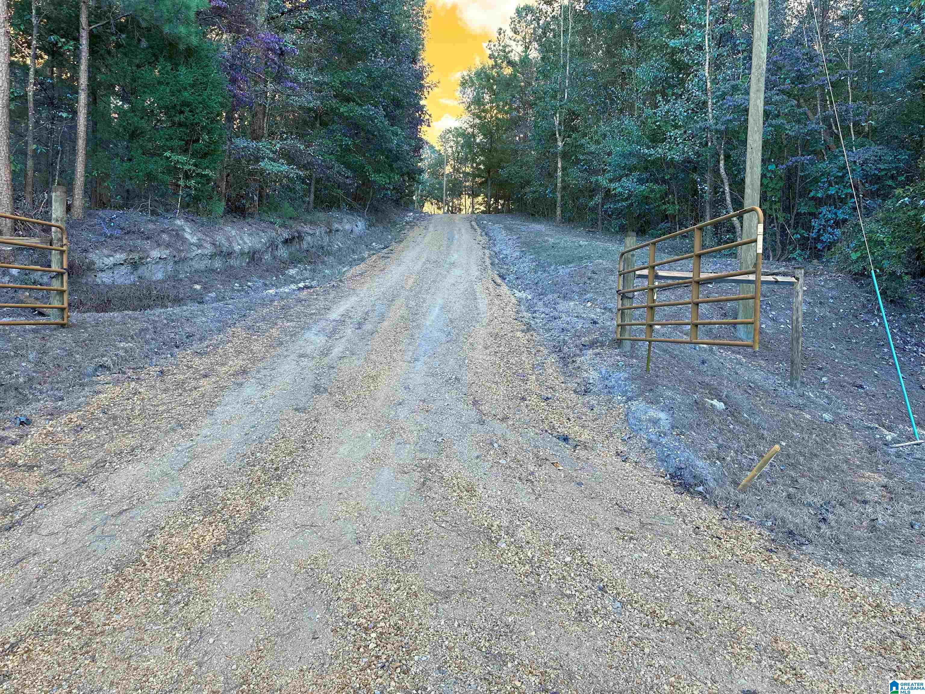 55 Oak Tree Street Cropwell, AL 35054 - Photo 3 of 27