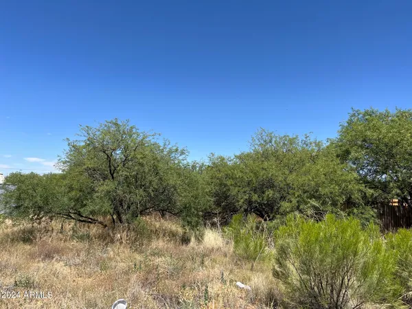 $24,000 | 19-acres North Ruth Road, Unit 123, Benson, AZ 85602