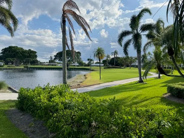 a view of a lake with a big yard and potted plants