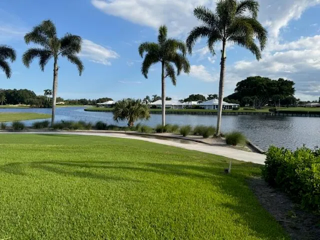 a view of a lake and palm trees